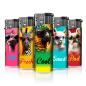 Preview: Animal Sunglasses Motivfeuerzeug 50er-Display in Orange, Blau, Gelb – Sicheres Zubehör bei Emma Trade GmbH für Tankstellen und Kioske - Einzeln