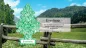 Preview: Wunderbaum Everfresh Duftbaum in Grün und Weiß – Frischer Autoduft bei Emma Trade GmbH für Tankstellen und Kioske - Produktbeschreibung