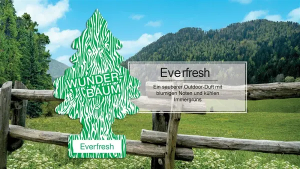 Wunderbaum Everfresh Duftbaum in Grün und Weiß – Frischer Autoduft bei Emma Trade GmbH für Tankstellen und Kioske - Produktbeschreibung