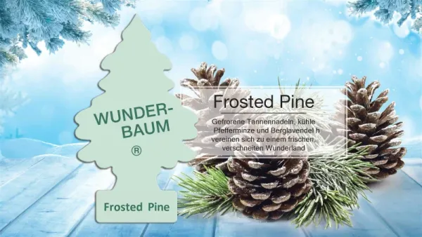 Wunderbaum Frost Pine Duftbaum in Mintgrün – Frischer Autoduft bei Emma Trade GmbH für Tankstellen und Kioske - Produktbeschreibung