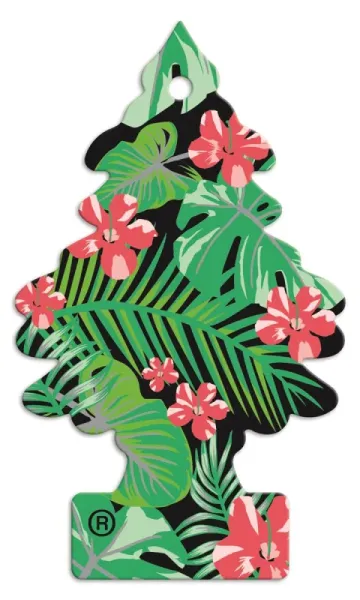 Wunderbaum Jungle Fever Duftbaum mit Dschungelblättern – Frischer Autoduft bei Emma Trade GmbH für Tankstellen und Kioske - Unverpackt